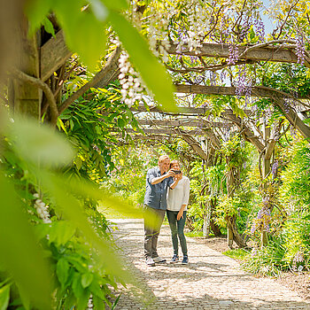 A walk throug shurb gardens