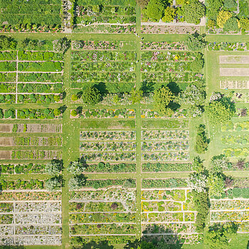 Shrub gardens from above