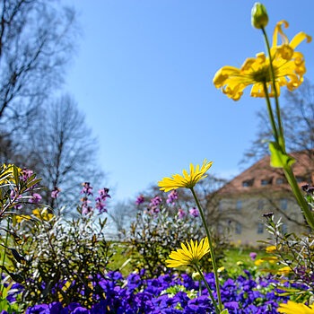 Frühlingsflor im Hofgarten. (Stadt Freising)